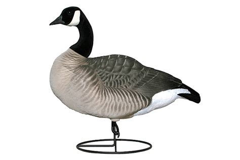 dakota goose decoys|dakota goose decoys for sale.